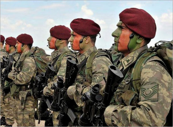 Bordo Bereliler